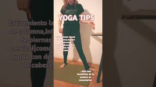 Estiramiento lateral de columna caderas cara interna de piernas saludfísica yogatips yoga [upl. by Doxia405]