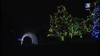 Incredible northern Kentucky light display synced to Christmas music [upl. by Attaymik]