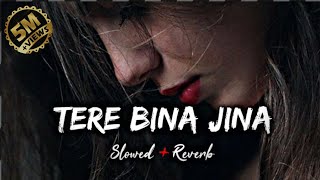 tere bina jina new song slowed Reverb Hindi songnew songmusic slowedandreverbhindisongindia [upl. by Yelekreb]