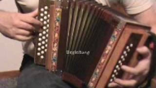 Swiss accordion trio Schwyzerörgeli trio [upl. by Laubin]