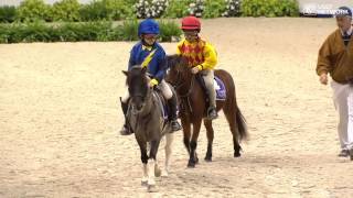 Shetland Pony Race [upl. by Pinsky229]