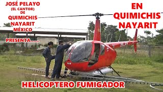 FUMIGACION CON HELICÓPTERO EN QUIMICHIS NAYARIT MÉXICO 14 de ENERO 2022 PARCELA DE DON LINO PELAYO [upl. by Anaujahs]