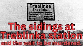 The Treblinka railway sidings and the wait to be murdered [upl. by Wieche]