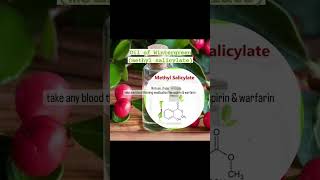 Methyl salicylate Wintergreen oil checkerberrynewvideo newshortsytshorts [upl. by Warner]