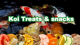 Koi food Treats and Feeding  Feeding Koi experiment [upl. by Adlei]