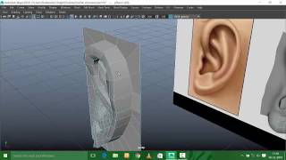 maya ear human modelling [upl. by Harri]