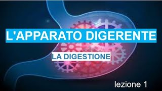 1 LAPPARATO DIGERENTE la digestione [upl. by Linzer]