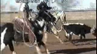 Palomino Team Roping Horse [upl. by Odab]