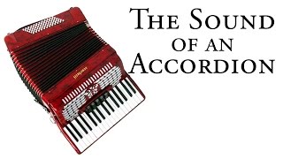 Sound of an ACCORDION [upl. by Leddy]