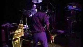 Gin Blossoms  Idiot Summer Live in Chicago [upl. by Knipe]