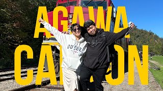 Agawa Canyon Train Tour [upl. by Novyad]