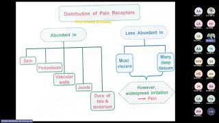 Pain analgesia amp Mechanisms of neuropathic pain by Prof Ahmed Elgendy [upl. by Romola]