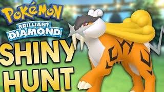 🔴 20K RESETS Shiny Hunting RAIKOU Pokemon Brilliant Diamond [upl. by Ewall]