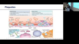 DES hémostase  syndromes hémorragiques [upl. by Vyky]