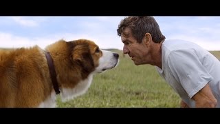 Top 10 Dog Movies [upl. by Ebeneser]