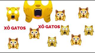 🙀🙀 SOM PARA ESPANTAR GATOS 🙀🙀 COLOQUE BEM ALTO 🙀🙀 XÔ GATO 🙀 OS GATOS VÃO EMBORA 🙀 Som horripilante 🙀 [upl. by Ellimac]