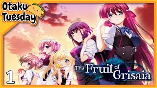 Who Are We  The Fruit of Grisaia  Episode 1 [upl. by Ralat397]