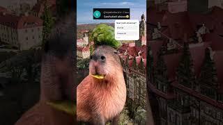 Capybara Praha Republic Czech 🇨🇿 [upl. by Almund]