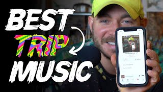 The Best Music For Tripping amp Why  Top 5 Artists [upl. by Nace727]