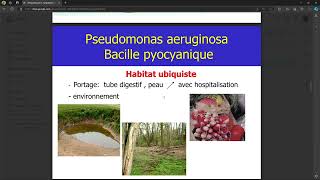 Bacteriologie  Bacteries Gram nonfermentant du milieu hospitalier FMPC [upl. by Hanoj]