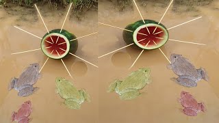 Survival Skills SIMPLE And Very USEFUL with Water Melon bushcraft outdoor camping [upl. by Moth]