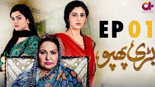 Bari Phuppo  EP 1  Aplus Hassan Somroo Sangeeta Faria  Pakistani Drama  C3D1 [upl. by Ahsekan504]