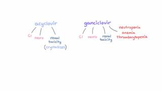 Antiviral Chemotherapy  Part 4 treatment of herpes and influenza viruses [upl. by Ilehs]