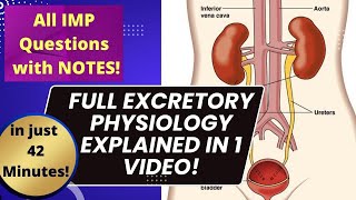 FULL EXCRETORY System in just 42 minutes🔥  Physiology CRASH COURSE  EASIEST EXPLANATION [upl. by Eelyek]