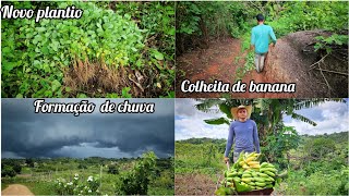 final da limpeza do jardim  grande formação de trovoadas fazendo um plantio diferente no sítio [upl. by Harras854]