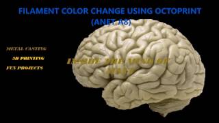 Filament Change Using Octoprint ANET A8 [upl. by Inaja]