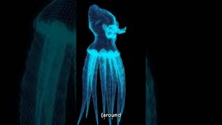 Incredible Discoveries The Worlds Largest Octopus Revealed [upl. by Fabiolas401]