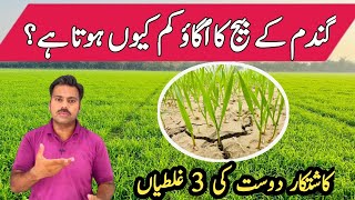 Factors affecting wheat seed germination  Germination issue in wheat sowing  Abid Ali Agrarian [upl. by Glovsky]