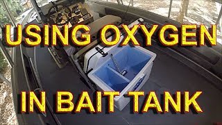 BEST OXYGEN BAIT TANK SYSTEM [upl. by Barden405]