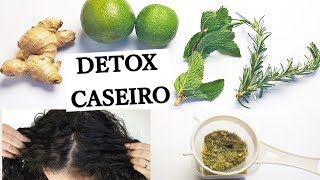 DETOX CAPILAR CASEIRO  TODOS OS TIPOS DE CABELO [upl. by Lombardy]