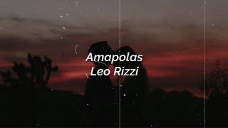 Leo Rizzi  Amapolas Lyrics  Acapella  Rvrb  8D [upl. by Kingsbury]