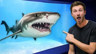 Inside Fish Store with 100000 Shark Tank Private Tour [upl. by Assital]