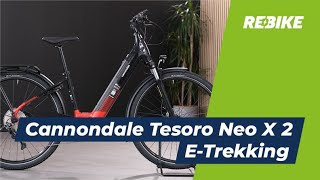 EBike Kaufberatung Cannondale Tesoro Neo X 2 🚲 Bike der Extraklasse  Rebikecom [upl. by Ameen]