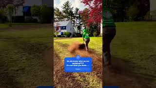 Lawn Care Service Taunton Ma 02780  Landscaping  5088449785 shorts [upl. by Isabelita]