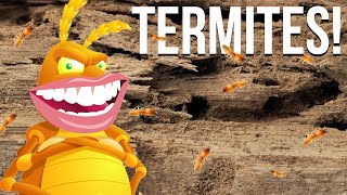 How to ACTUALLY Handle Termites In South Carolina  Even Subterranean [upl. by Oba]