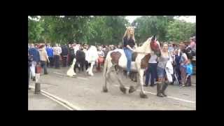 APPLEBY HORSE FAIR 2014 BY RACEY [upl. by Aerdnwahs]