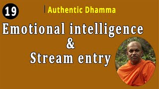 19 Emotional intelligence amp Stream entry [upl. by Allis]