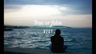 V T S T  True or False [upl. by Eissat]