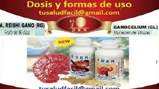 ♛♛Uso ganoderma dosis dxn♛♛✆ 34 642 366 134 ☎️ [upl. by Steinberg]