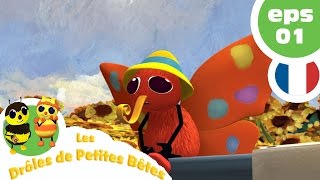 DRÔLES DE PETITES BÊTES  EP01  Le bel inconnu volant [upl. by Laurentium975]