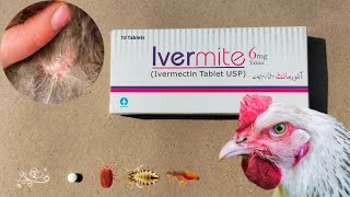 Antiparasitic for Poultry  Ivermectin for Chickens  Scaly Leg Mites Lice and Parasites Treatment [upl. by Schuh353]