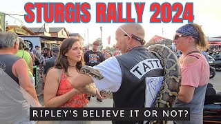 STURGIS Rally 2024 You Have to SEE it to BELIEVE it [upl. by Roxane]