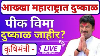 कृषिमंत्री🔴 दुष्काळ जाहीर करावा लागेलनुकसान भरपाई जाहीर करा  पीक विमा सरसकट मंजूर nuksan bharpai [upl. by Erlond]