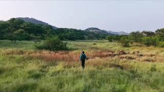 Kharghar Forest Area 🏕️  Navi Mumbai  Unseen Place  Awesome Location [upl. by Akcirret810]