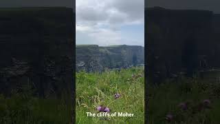 The cliffs of Moher ireland irish europe travel nature travelblogger traveldestinations fun [upl. by Amalbena489]