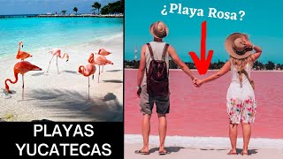 🌴 7 Mejores PLAYAS de Yucatán que debes Visitar MÉXICO [upl. by Innattirb]